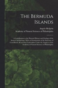 bokomslag The Bermuda Islands