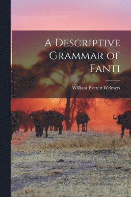 A Descriptive Grammar of Fanti 1