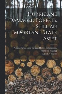 bokomslag Hurricane Damaged Forests, Still an Important State Asset