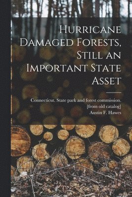 Hurricane Damaged Forests, Still an Important State Asset 1