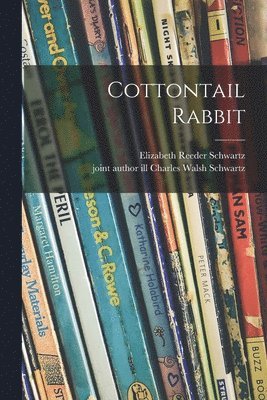 Cottontail Rabbit 1