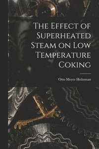 bokomslag Effect of Superheated Steam on Low Temperature Coking