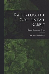 bokomslag Raggylug, the Cottontail Rabbit [microform]