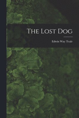 bokomslag The Lost Dog