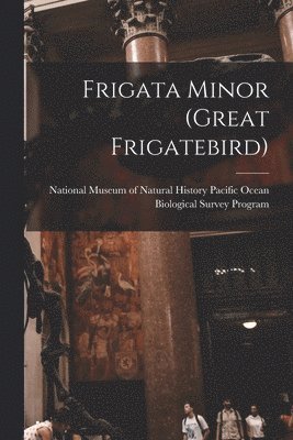 Frigata Minor (great Frigatebird) 1