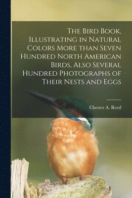 bokomslag The Bird Book, Illustrating in Natural Colors More Than Seven Hundred North American Birds, Also Several Hundred Photographs of Their Nests and Eggs