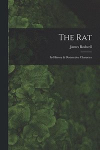 bokomslag The Rat