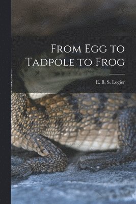 bokomslag From Egg to Tadpole to Frog