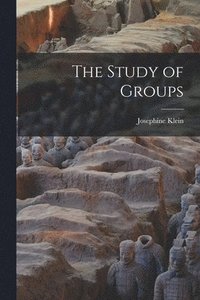 bokomslag The Study of Groups