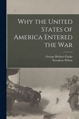 Why the United States of America Entered the War [microform] 1