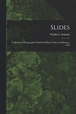 bokomslag Slides: Underwater Photography Field-work Harry Pederson Bahamas, 1962