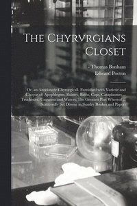 bokomslag The Chyrvrgians Closet