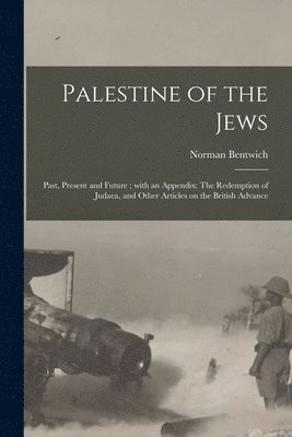 bokomslag Palestine of the Jews