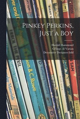 bokomslag Pinkey Perkins, Just a Boy