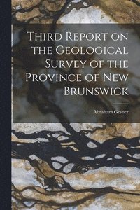 bokomslag Third Report on the Geological Survey of the Province of New Brunswick [microform]