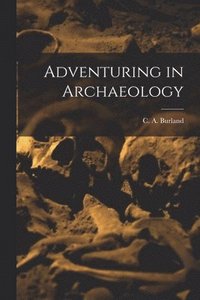bokomslag Adventuring in Archaeology