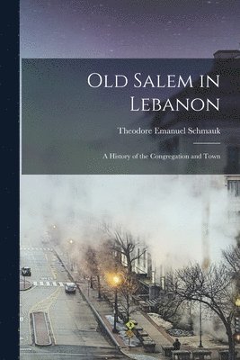 bokomslag Old Salem in Lebanon