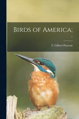 bokomslag Birds of America;; 1