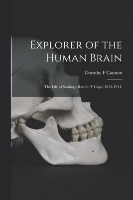 bokomslag Explorer of the Human Brain: the Life of Santiago Ramo?n Y Cajal (1852-1934)