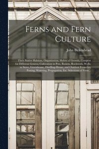 bokomslag Ferns and Fern Culture