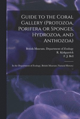 Guide to the Coral Gallery (Protozoa, Porifera or Sponges, Hydrozoa, and Anthozoa) 1