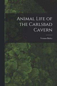 bokomslag Animal Life of the Carlsbad Cavern