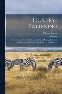 bokomslag Poultry-fattening