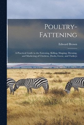 Poultry-fattening 1