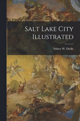 bokomslag Salt Lake City Illustrated