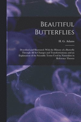 Beautiful Butterflies 1