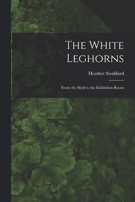 White Leghorns