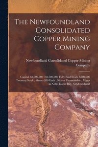 bokomslag Newfoundland Consolidated Copper Mining Company [microform]
