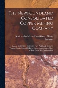 bokomslag The Newfoundland Consolidated Copper Mining Company [microform]