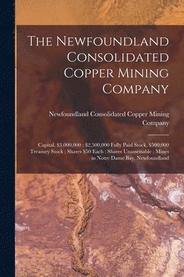 bokomslag Newfoundland Consolidated Copper Mining Company [microform]