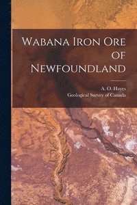 bokomslag Wabana Iron Ore of Newfoundland [microform]