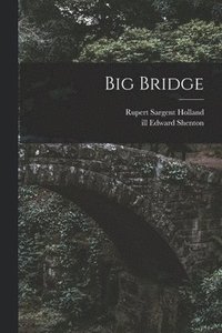 bokomslag Big Bridge