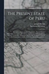 bokomslag Present State of Peru