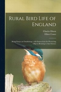 bokomslag Rural Bird Life of England