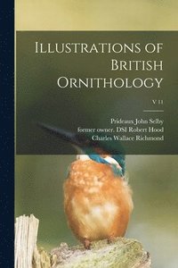 bokomslag Illustrations of British Ornithology; v 11