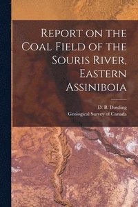 bokomslag Report on the Coal Field of the Souris River, Eastern Assiniboia [microform]