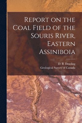 bokomslag Report on the Coal Field of the Souris River, Eastern Assiniboia [microform]