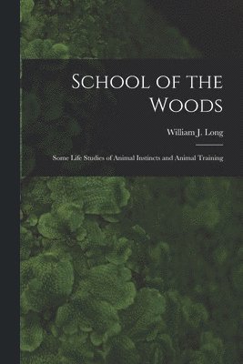 bokomslag School of the Woods [microform]