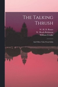 bokomslag The Talking Thrush