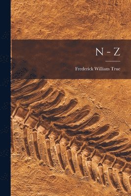 N - Z 1