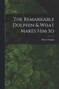bokomslag The Remarkable Dolphin & What Makes Him So
