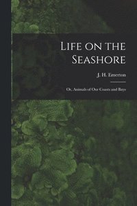 bokomslag Life on the Seashore