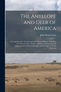 bokomslag The Antelope and Deer of America