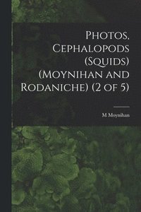 bokomslag Photos, Cephalopods (Squids) (Moynihan and Rodaniche) (2 of 5)