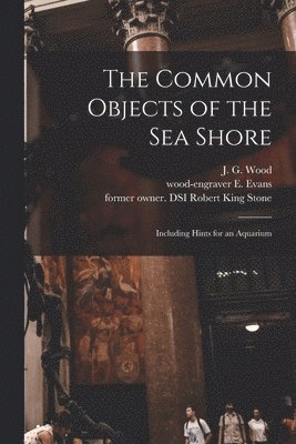 J. G. (John George) Wood, E. Wood-Engraver Evans, Robert King Former Owner Dsi Stone - Common Objects of the Sea Shore, Häftad