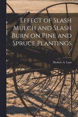 Effect of Slash Mulch and Slash Burn on Pine and Spruce Plantings / 1